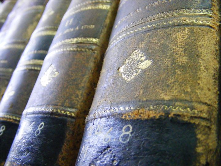 biblioteca 009 copy.jpg